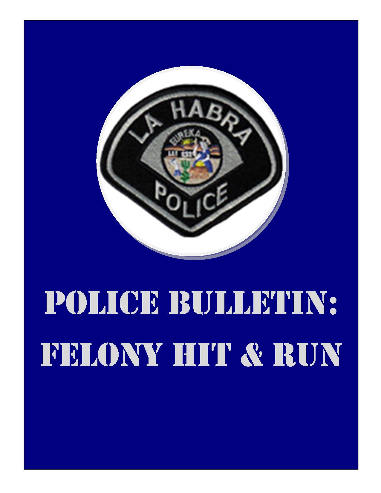 Police Bulletin- Felony Hit and Run 2015.jpg